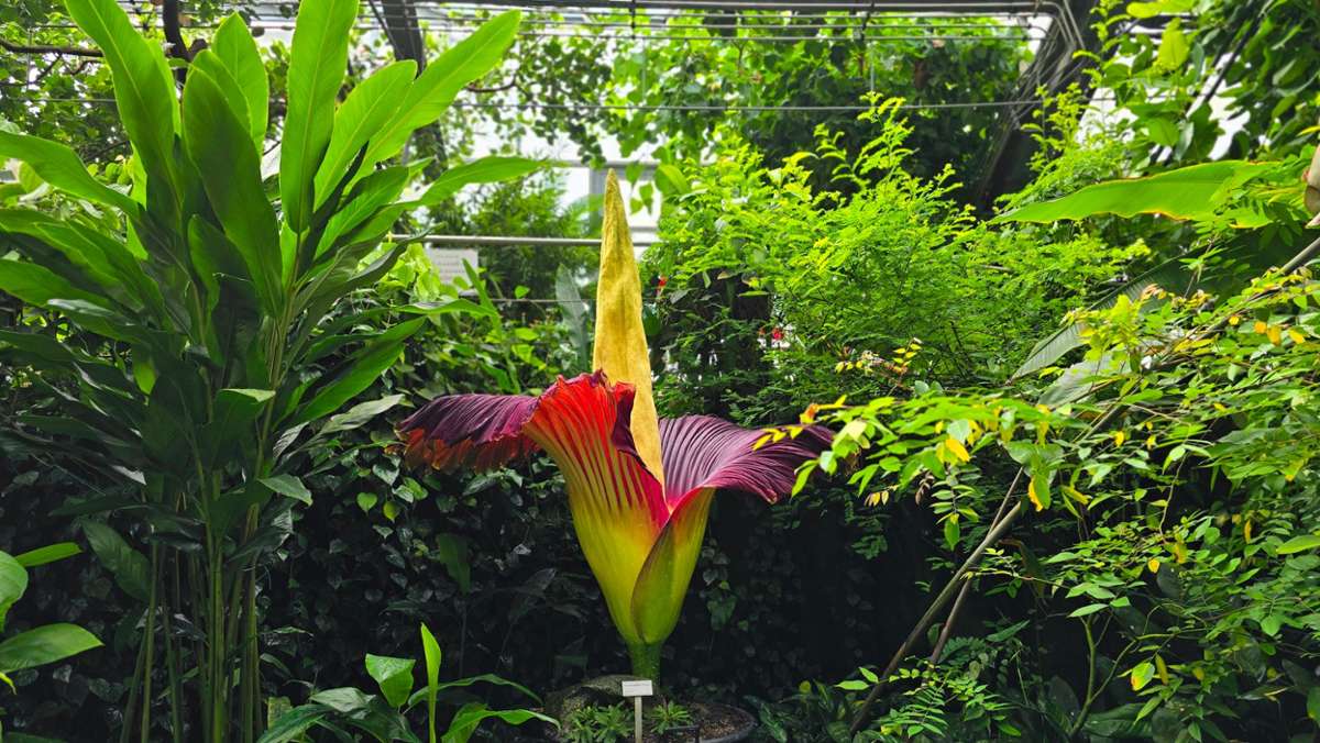Ökologisch-Botanischer Garten
